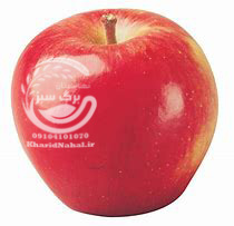 نهال سیب قرمز 