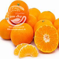 نهال نارنگی