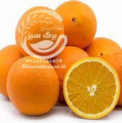نهال پرتقال تامسون
