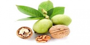 نهال گردو سجنو