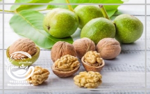 نهال گردو شیلی ژنوتیپ