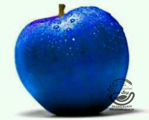 نهال سیب آبی