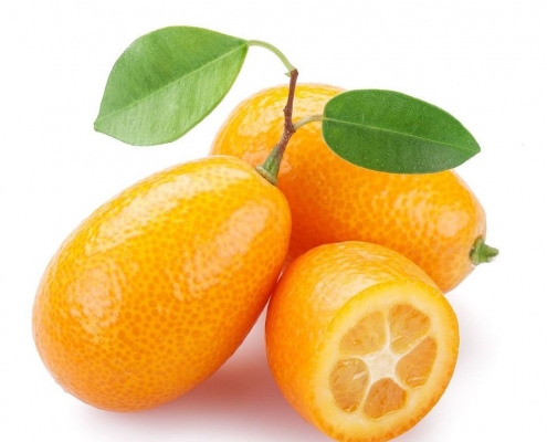 نهال پرتقال کامکوات